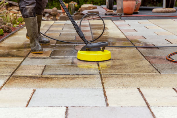 Best Animal Enclosure Cleaning  in Thorofare, NJ